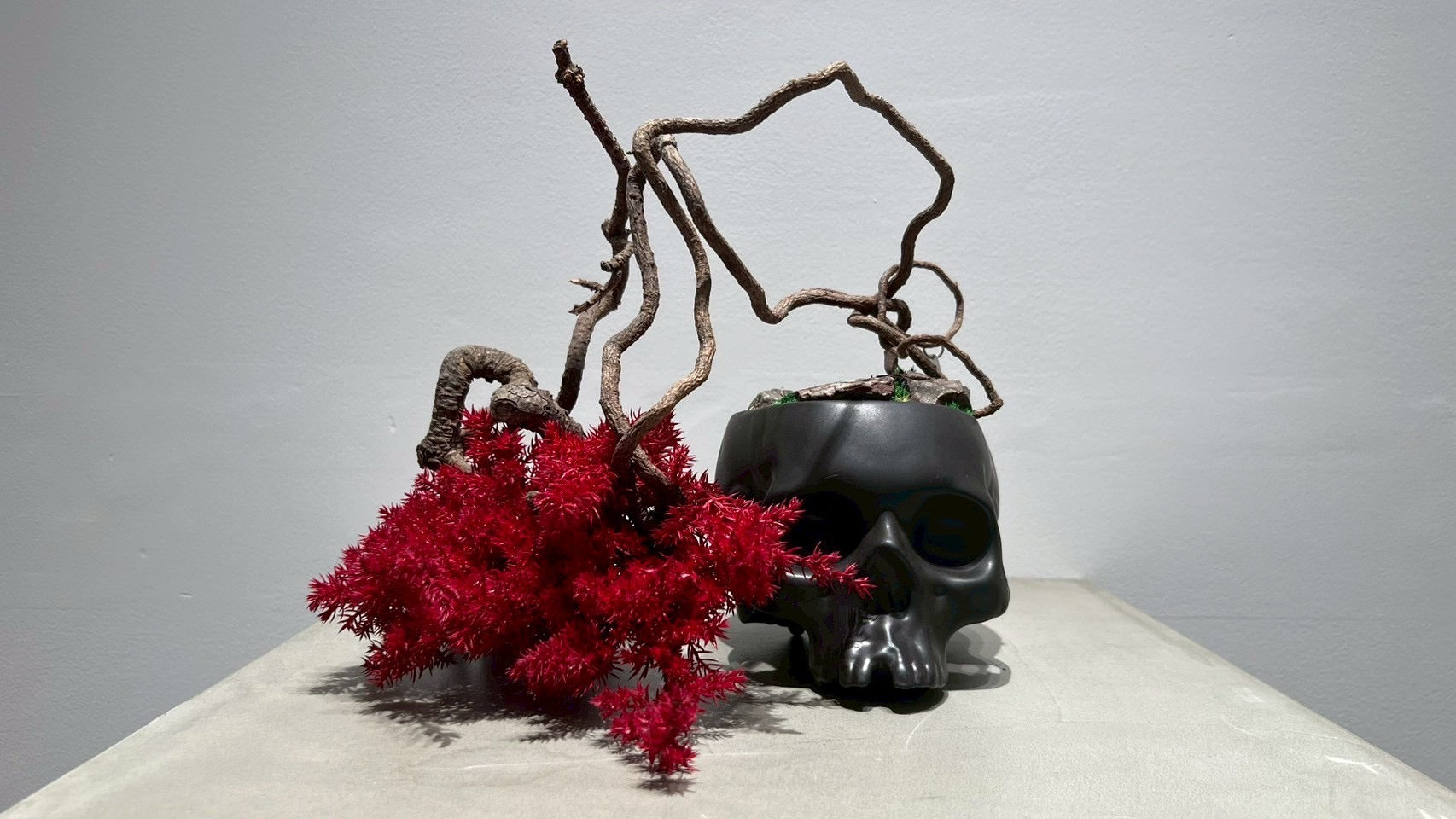 SKULL RE BONSAI™️(紅樺色)