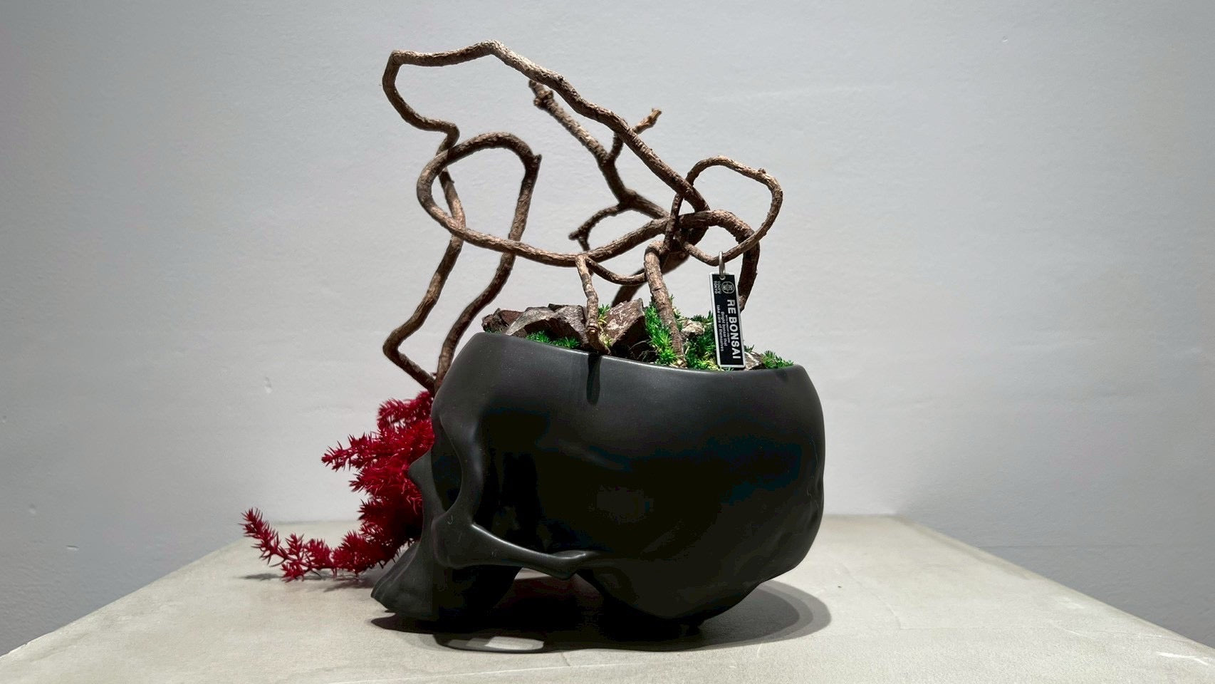 SKULL RE BONSAI™️(紅樺色)