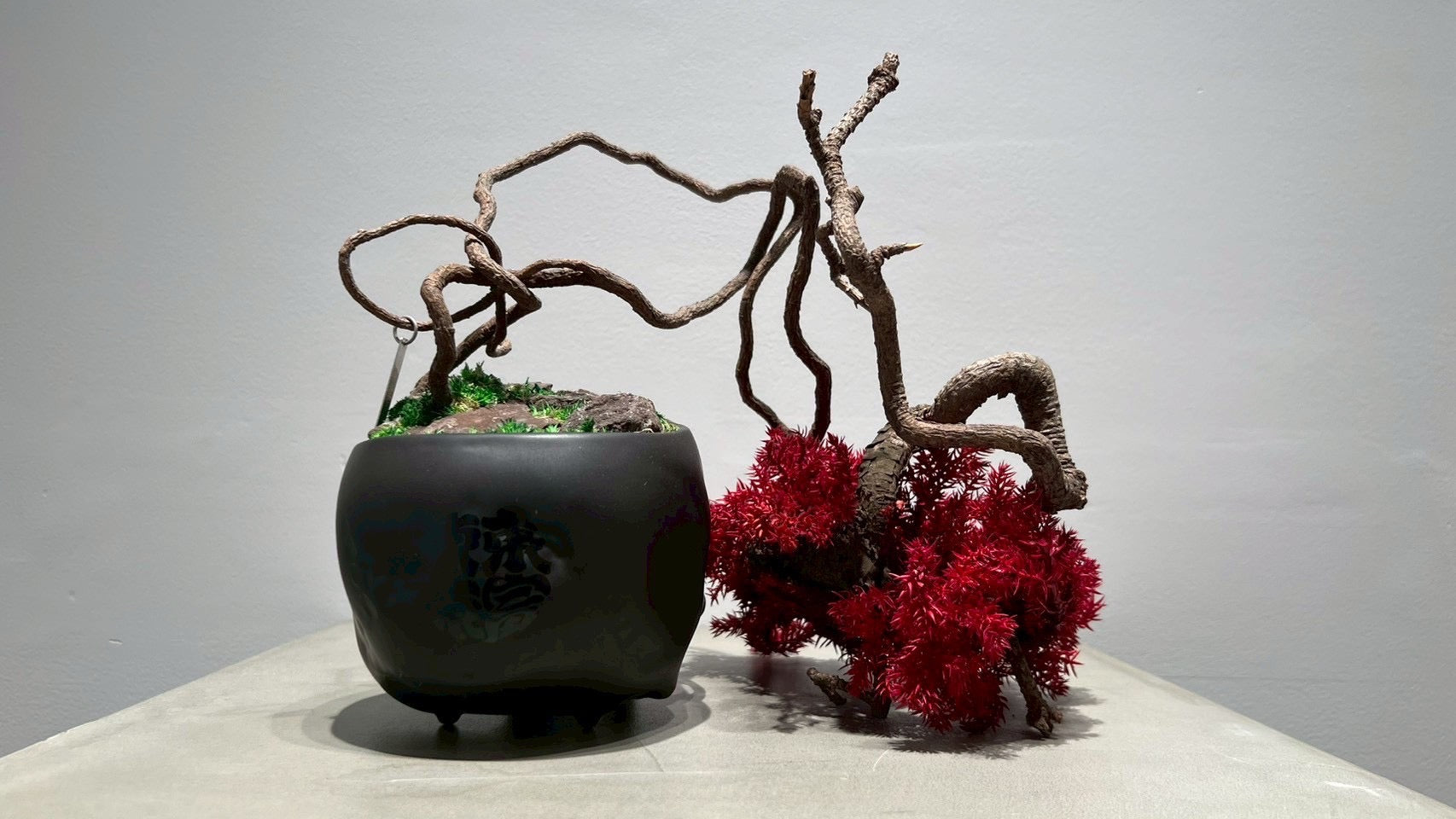 SKULL RE BONSAI™️(紅樺色)