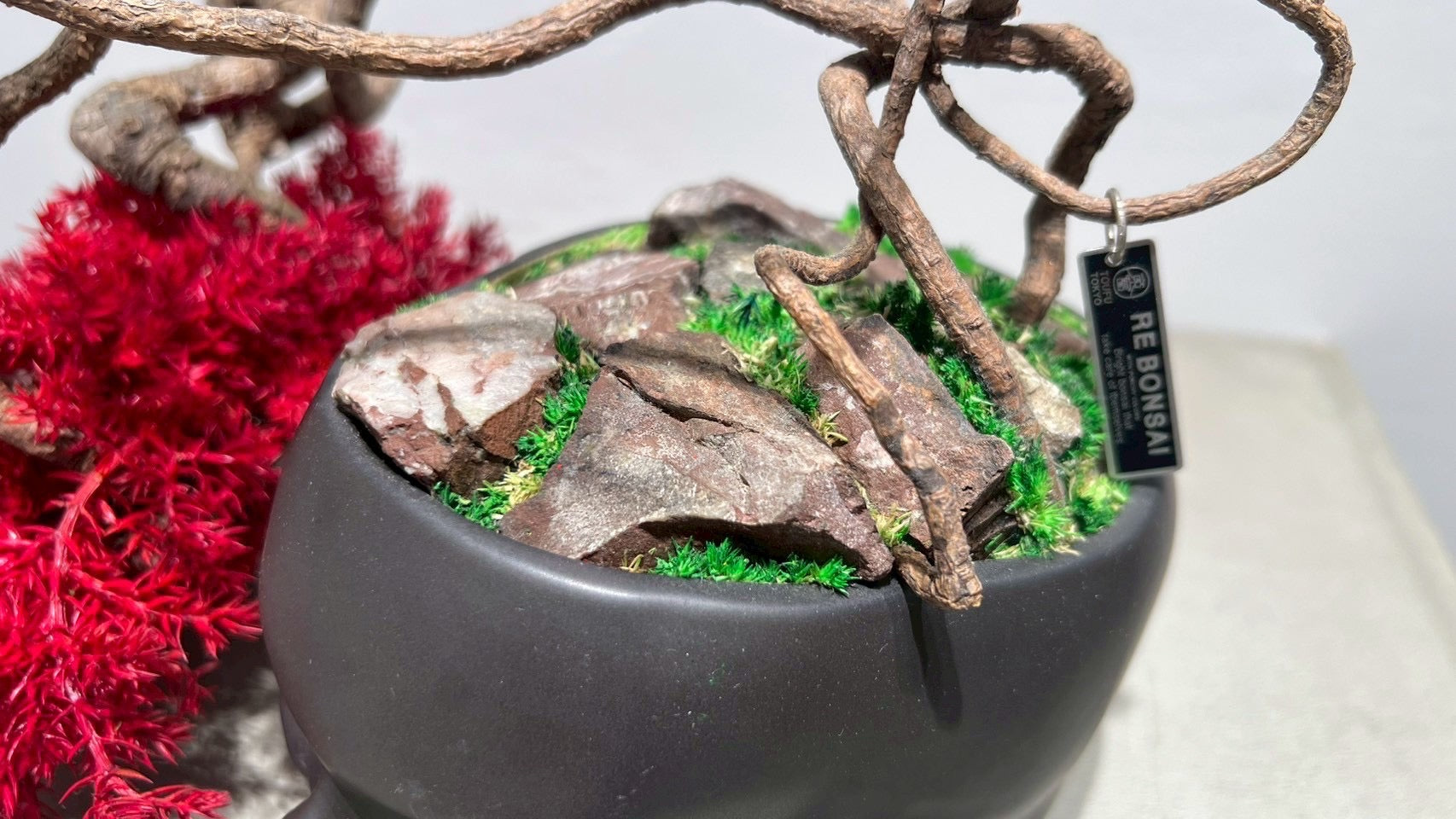 SKULL RE BONSAI™️(紅樺色)