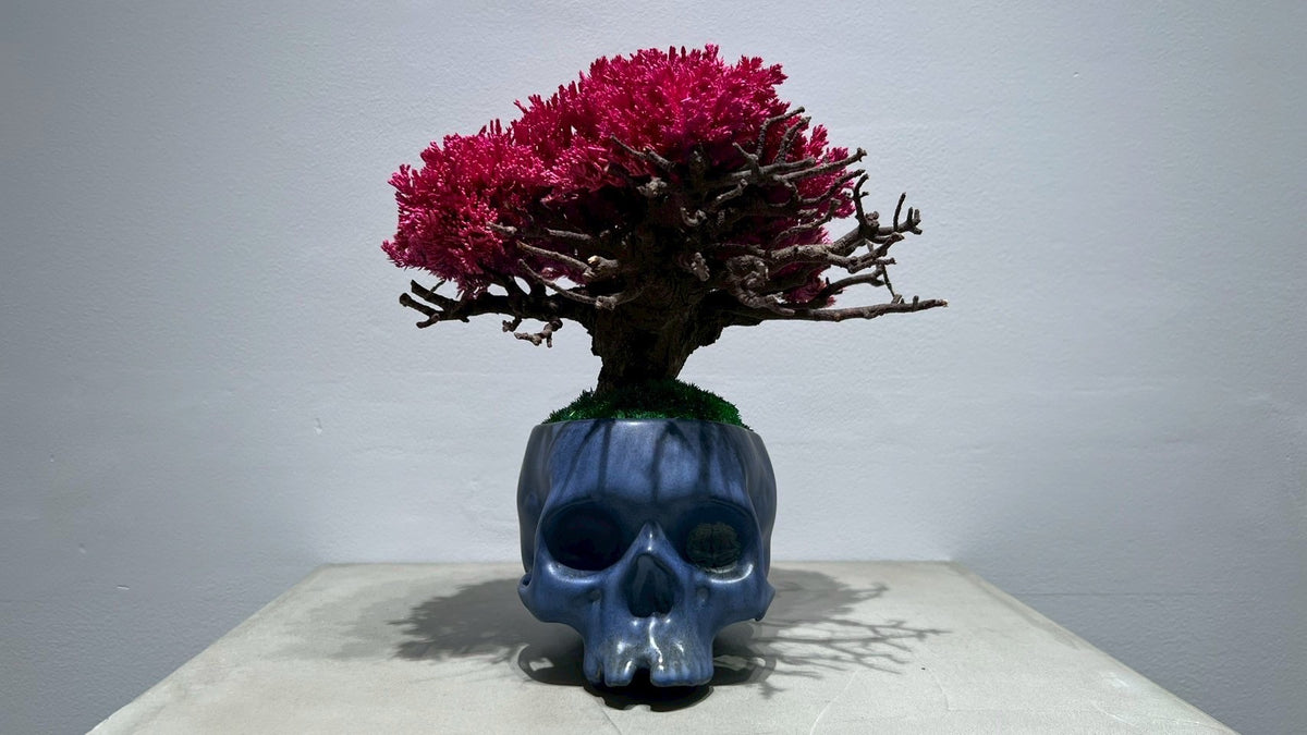 SKULL RE BONSAI™️(撫子色)