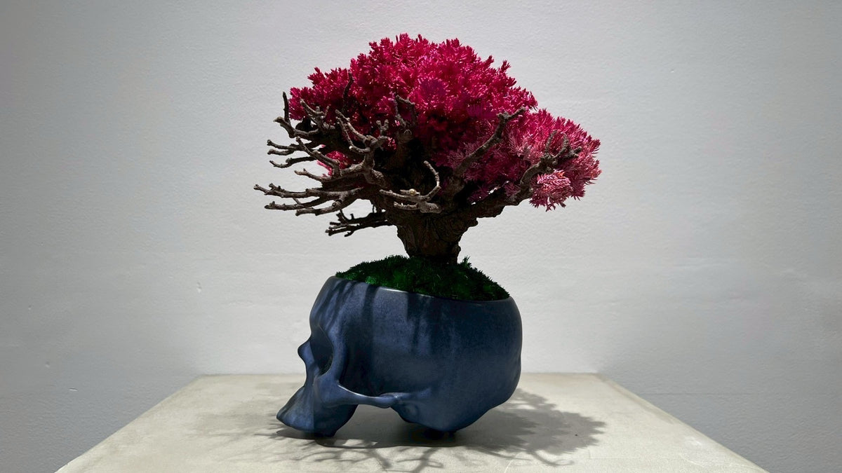 SKULL RE BONSAI™️(撫子色)