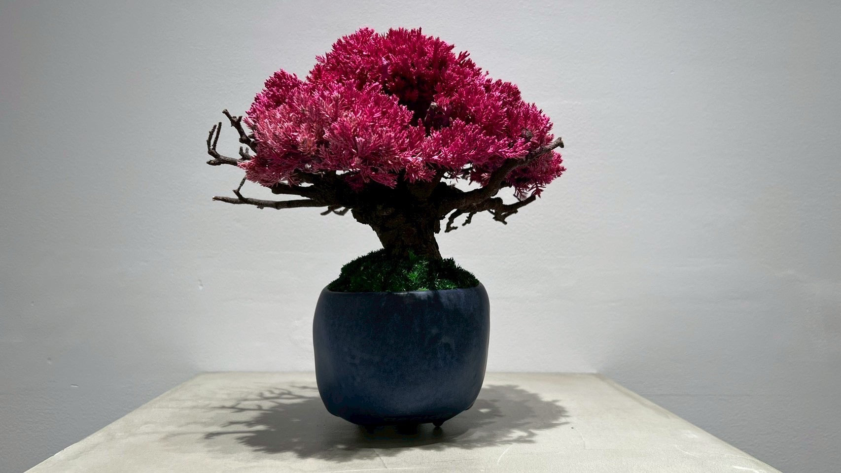 SKULL RE BONSAI™️(撫子色)