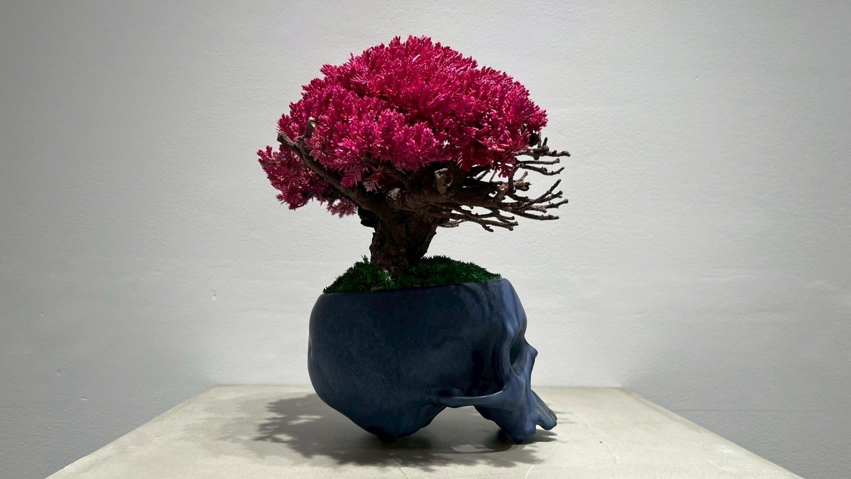 SKULL RE BONSAI™️(撫子色)