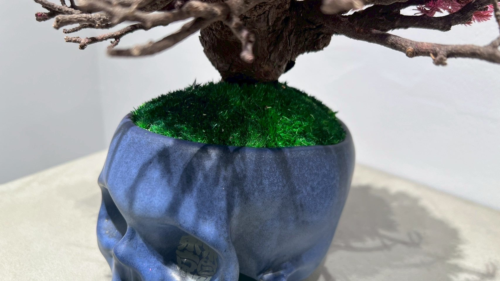 SKULL RE BONSAI™️(撫子色)