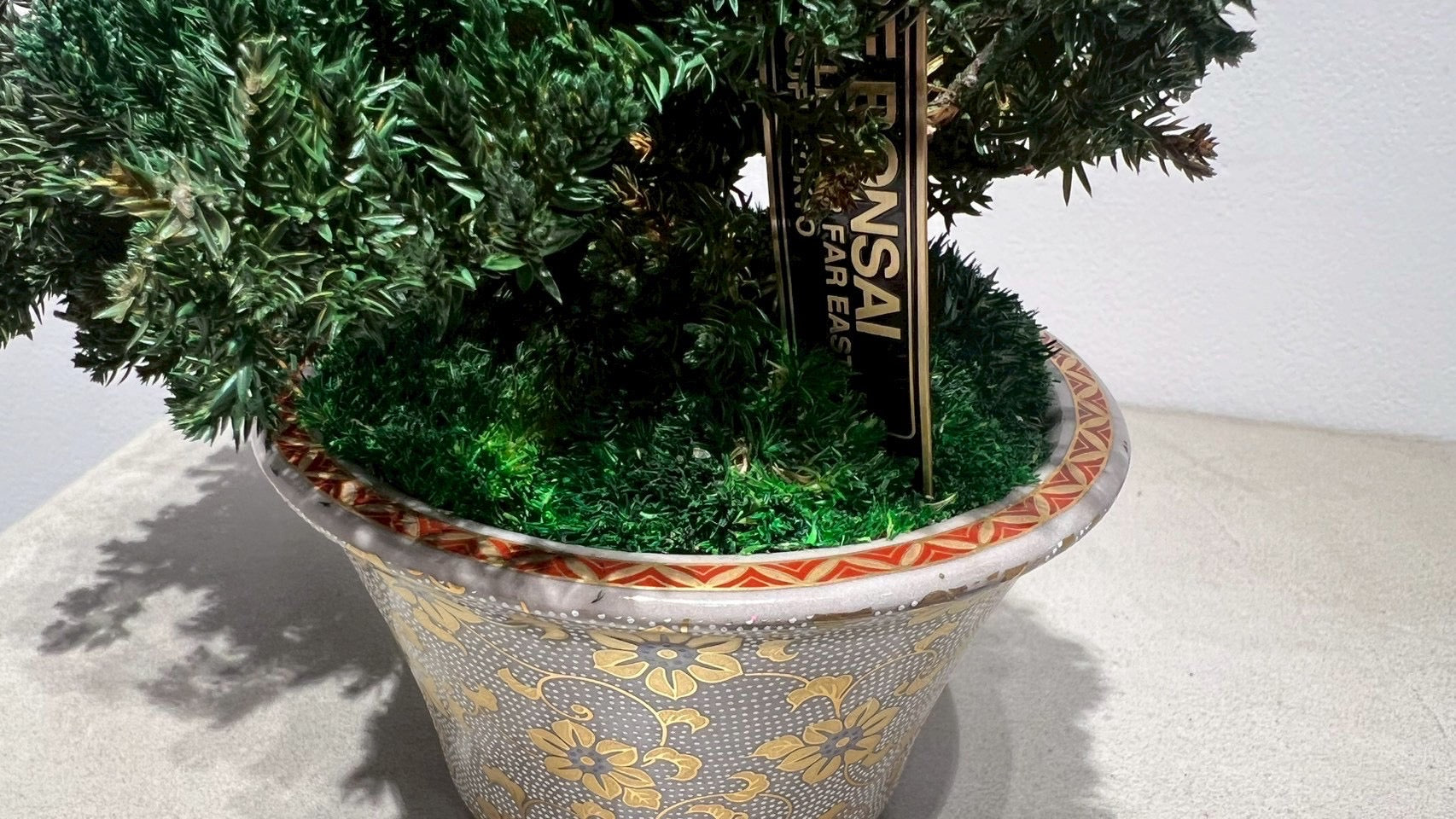 RE BONSAI™️(海松茶色)