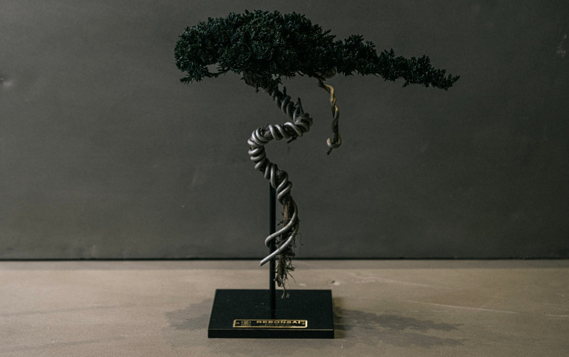 RE BONSAI™️ STAND(海松茶色)