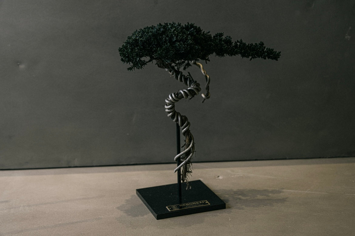 RE BONSAI™️ STAND(海松茶色)