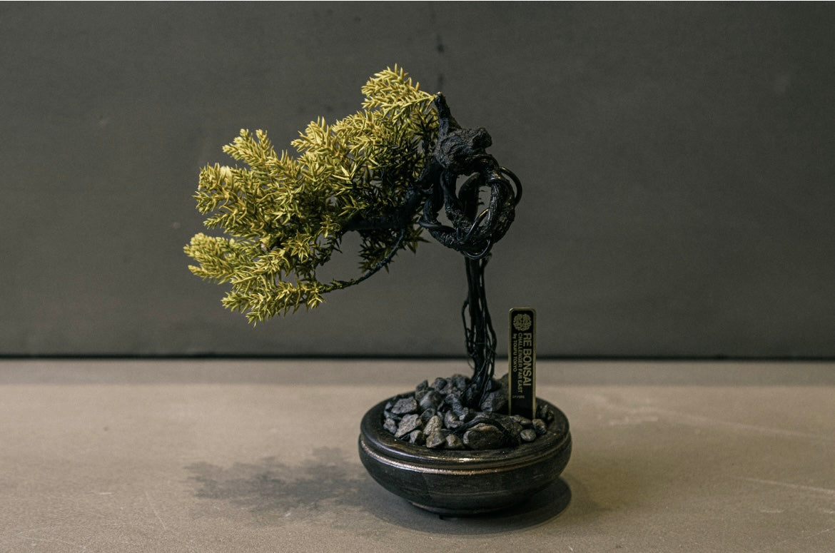 RE BONSAI™️ HACHI（黄檗色）