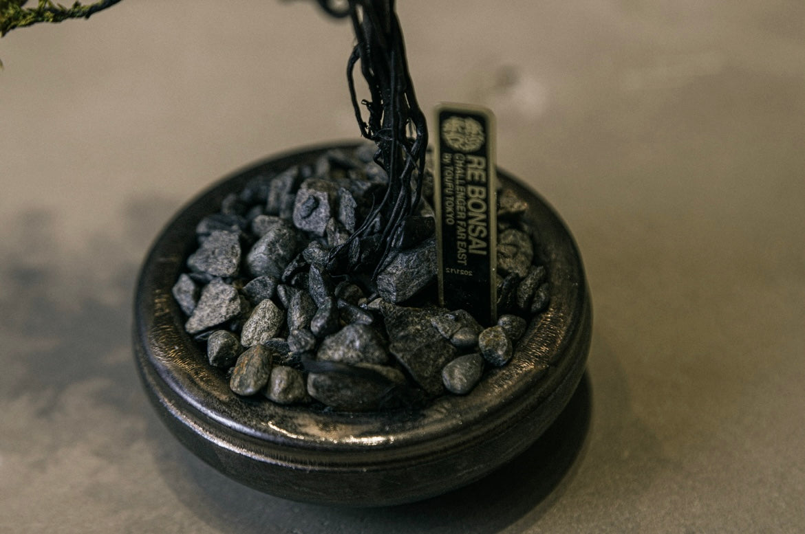 RE BONSAI™️ HACHI(黄檗色)