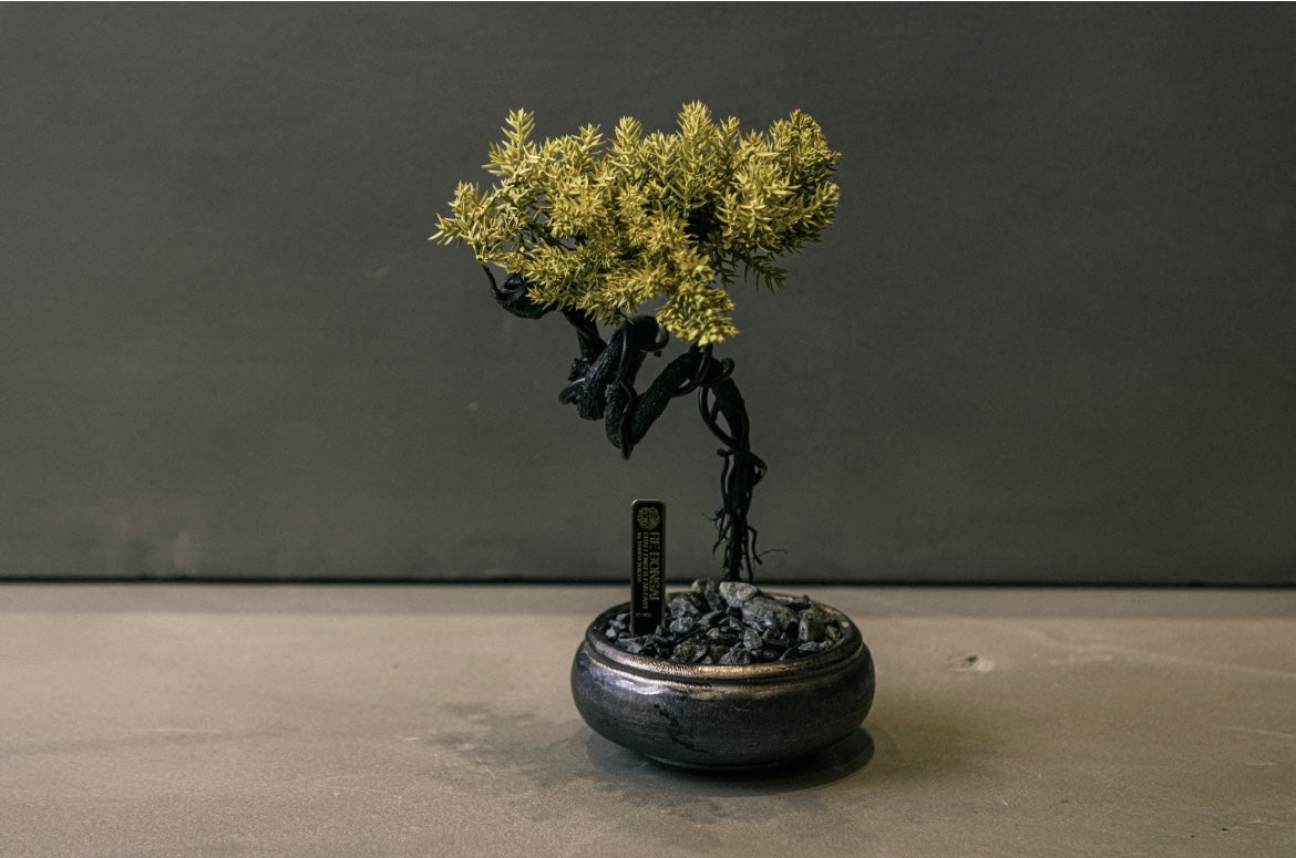 RE BONSAI™️ HACHI(黄檗色)