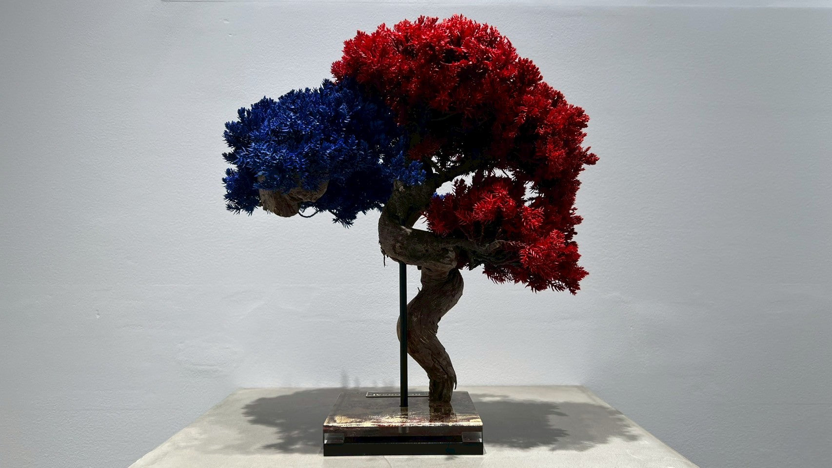 RE BONSAI™️(紅樺色/紺藍色)