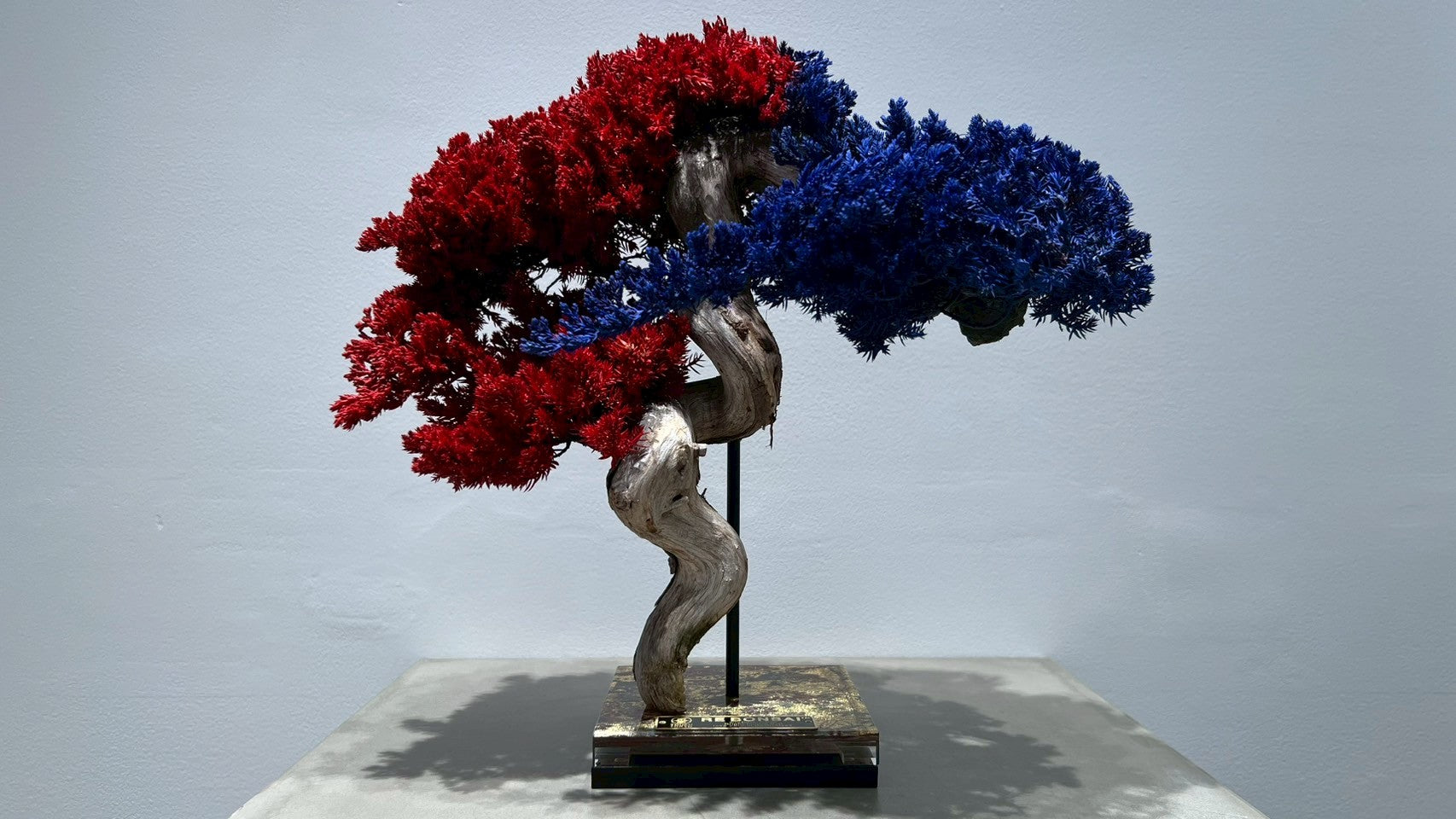 RE BONSAI™️(紅樺色/紺藍色)