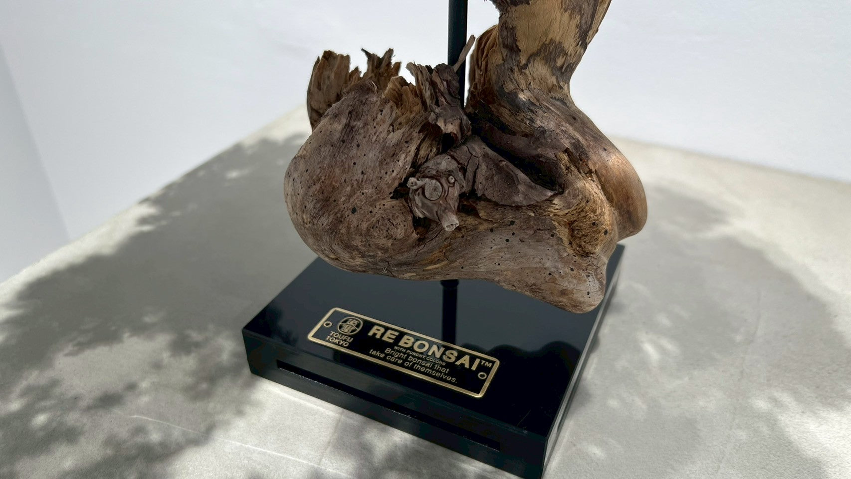 RE BONSAI™️(漆黒色/黄檗色)