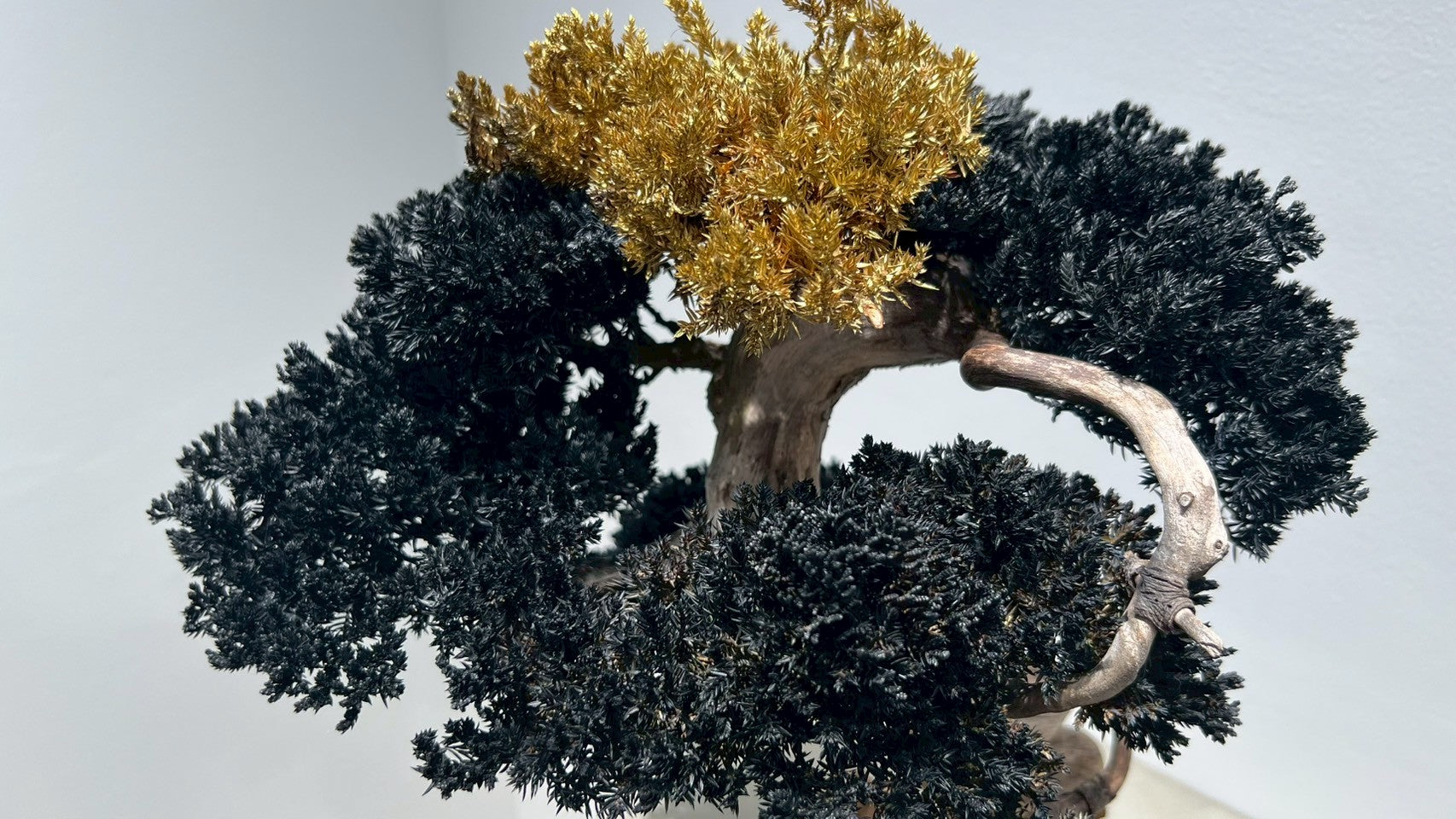 RE BONSAI™️(漆黒色/黄檗色)