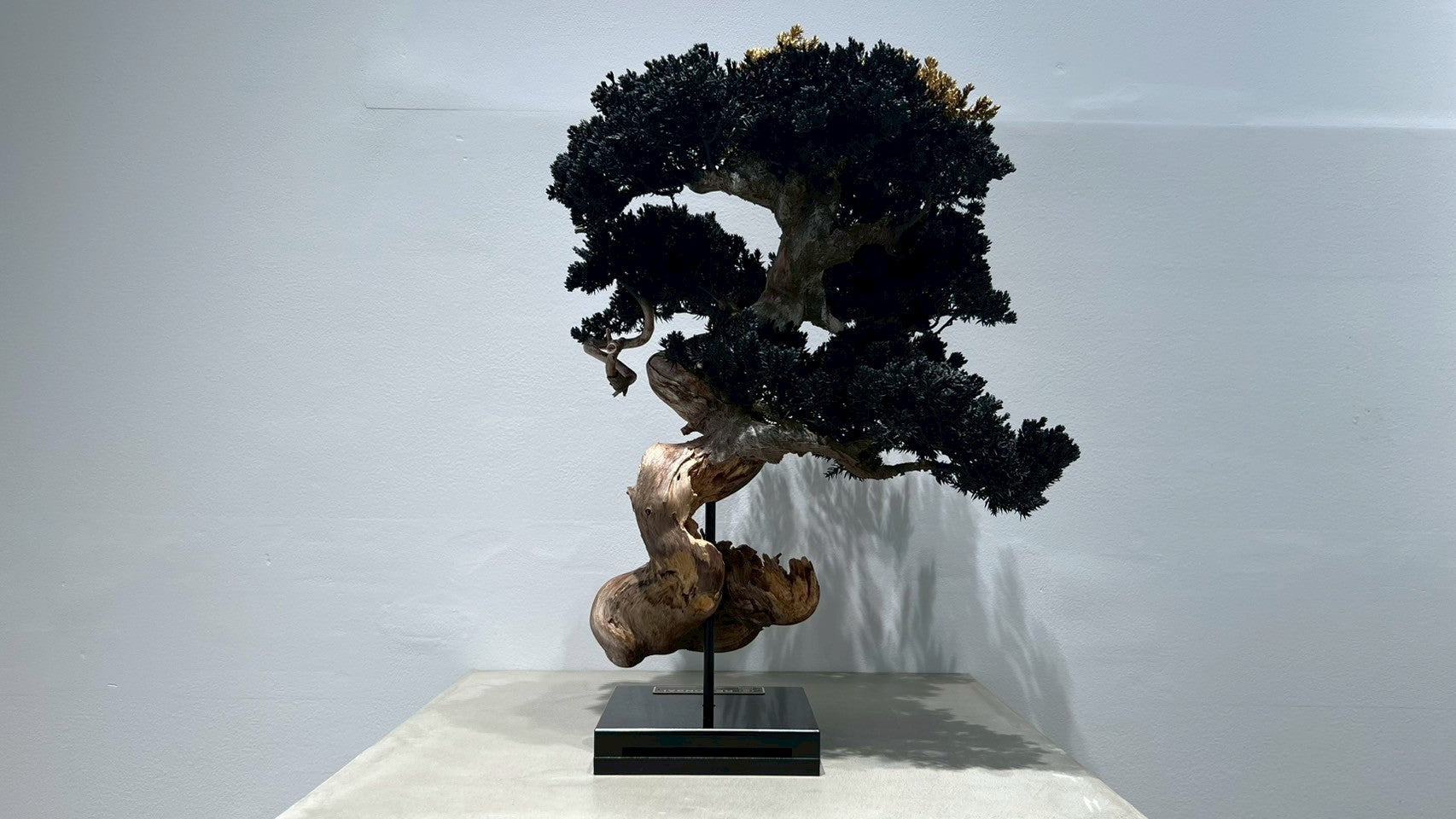 RE BONSAI™️(漆黒色/黄檗色)