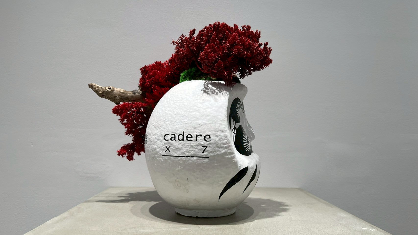 DARUMA RE BONSAI™️(紅樺色)