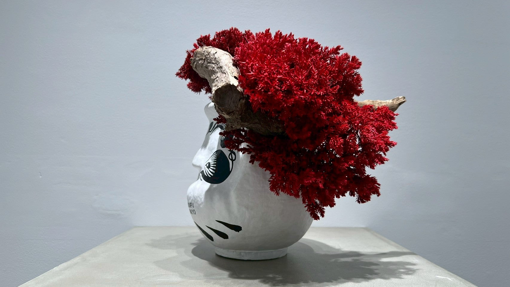 DARUMA RE BONSAI™️(紅樺色)