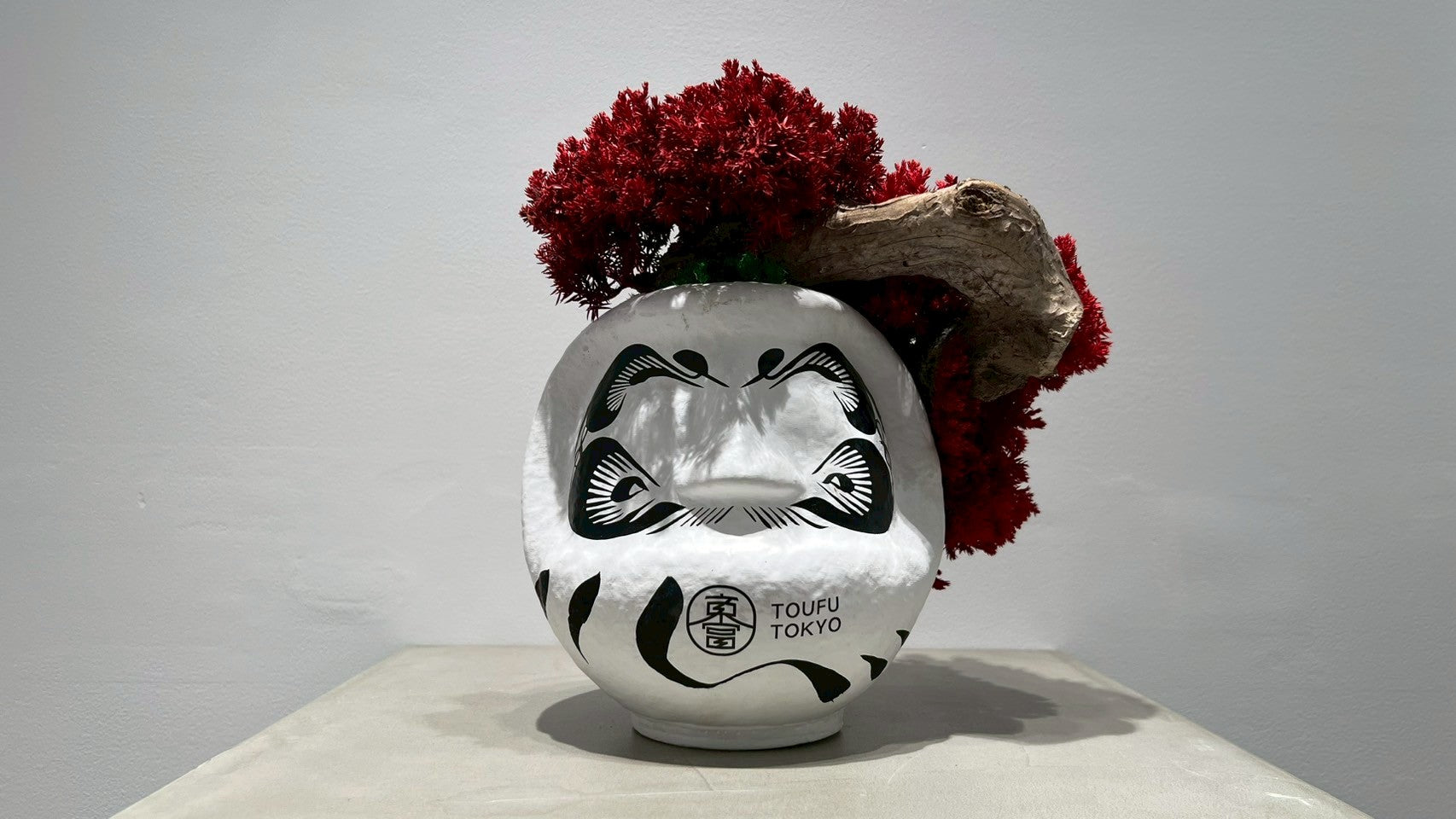 DARUMA RE BONSAI™️（紅樺色）
