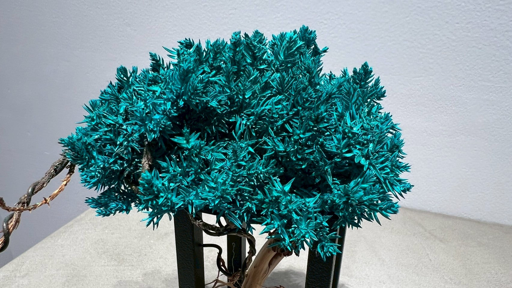 RE BONSAI™️ Frame(海松色)