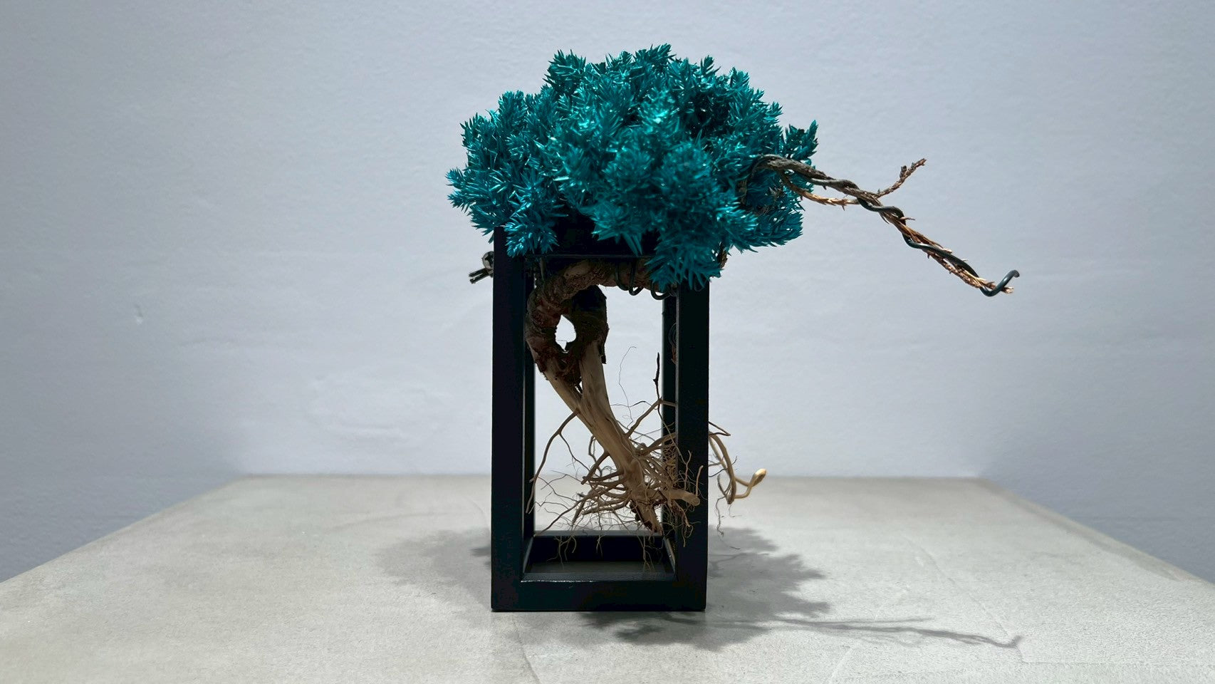 RE BONSAI™️ Frame(海松色)