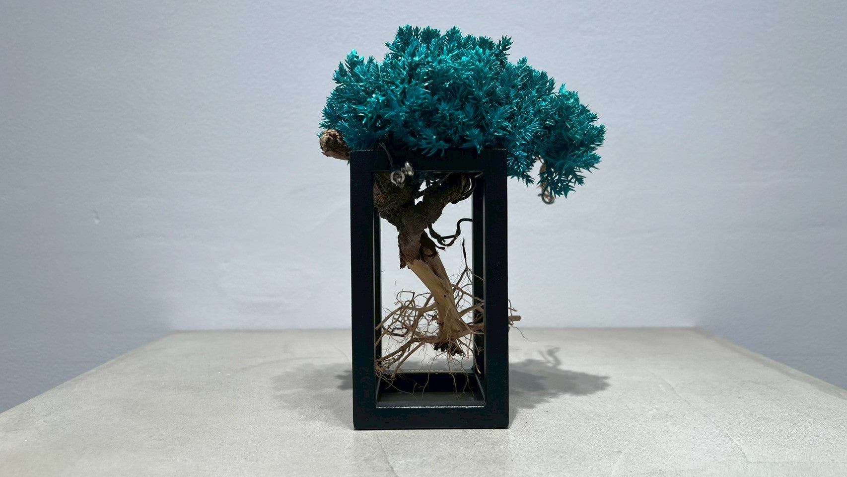 RE BONSAI™️ Frame(海松色)