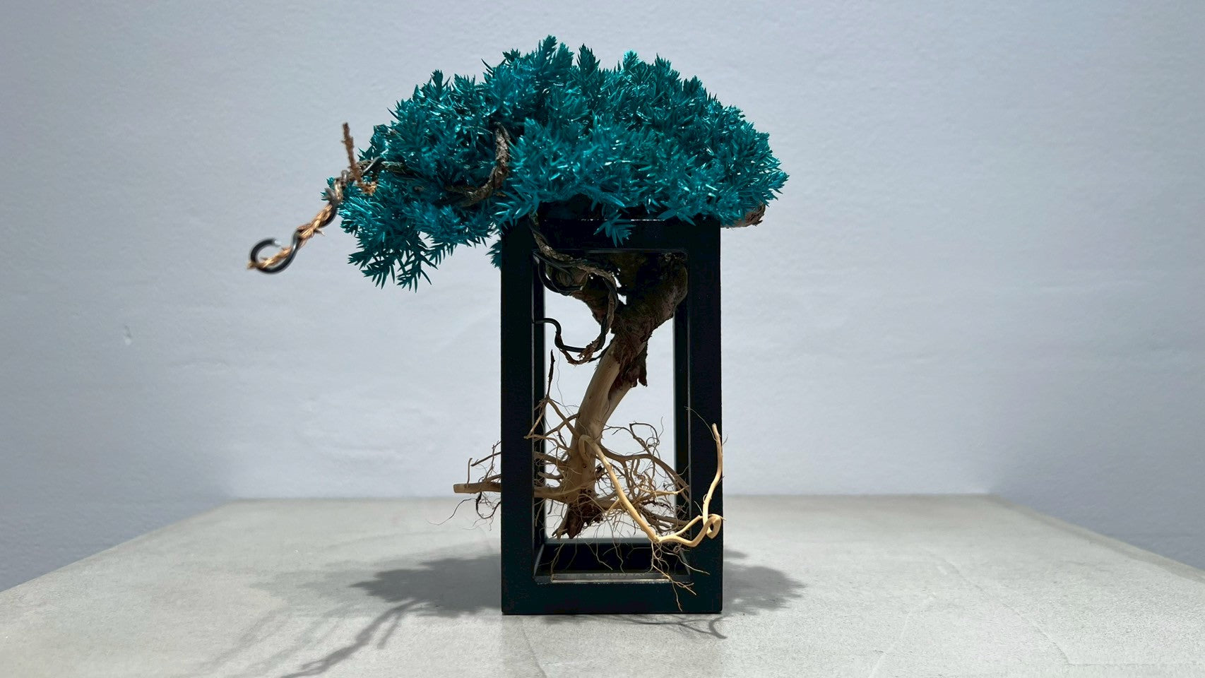 RE BONSAI™️ Frame(海松色)