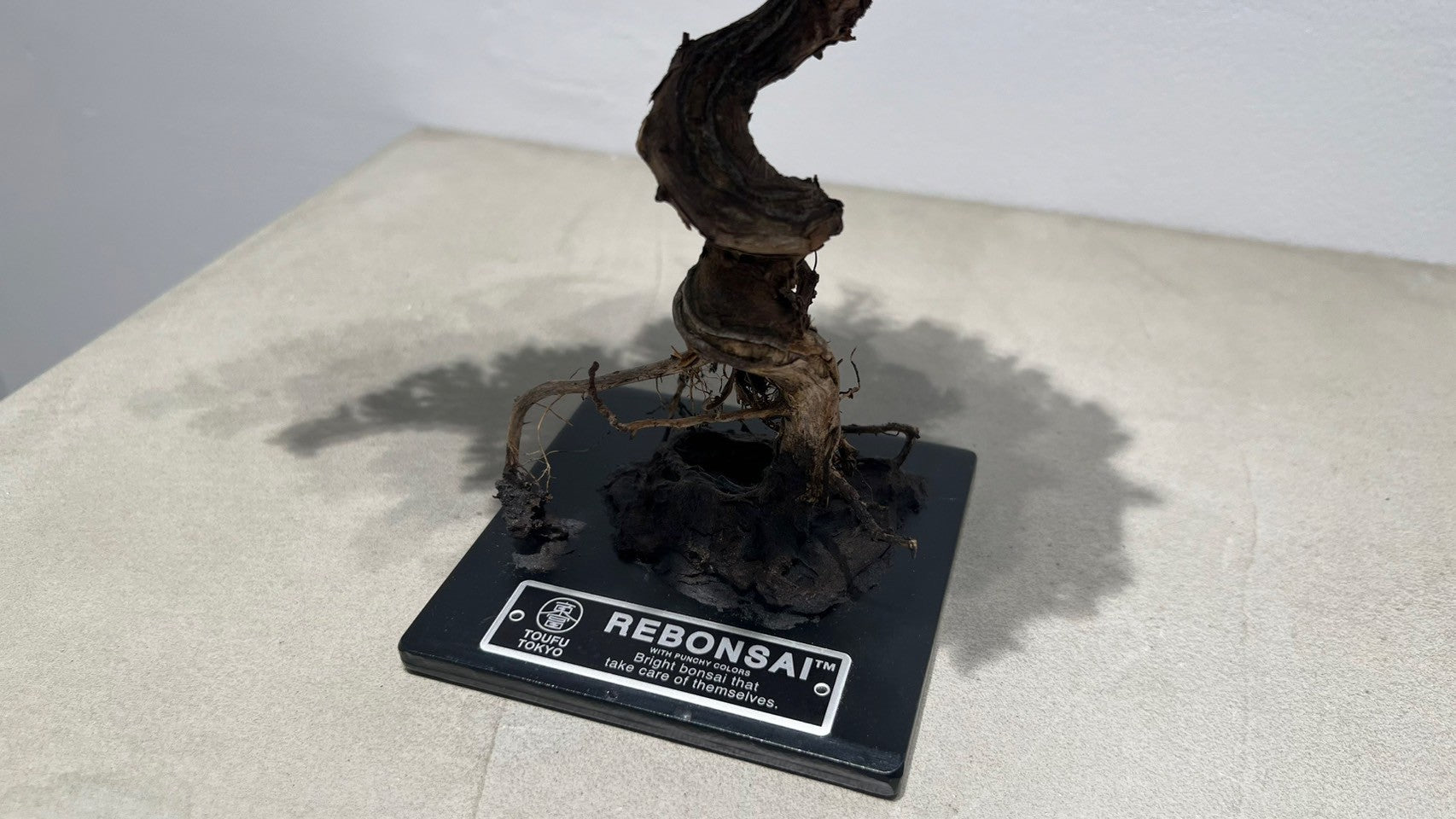 RE BONSAI™️(紺藍色)