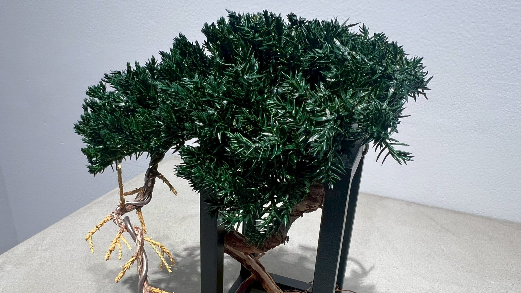 RE BONSAI™️ Frame(海松茶色)