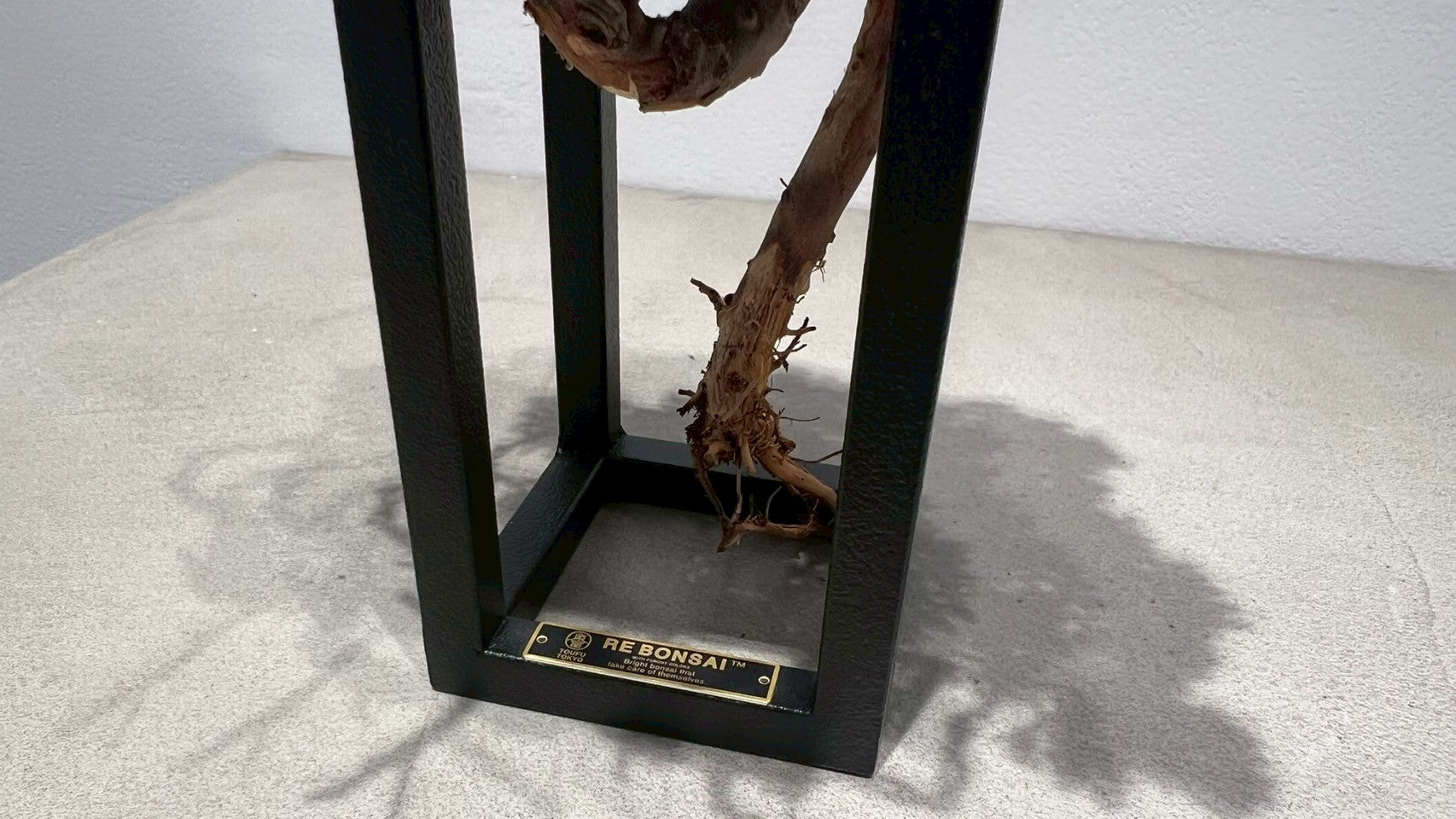 RE BONSAI™️ Frame(撫子色)