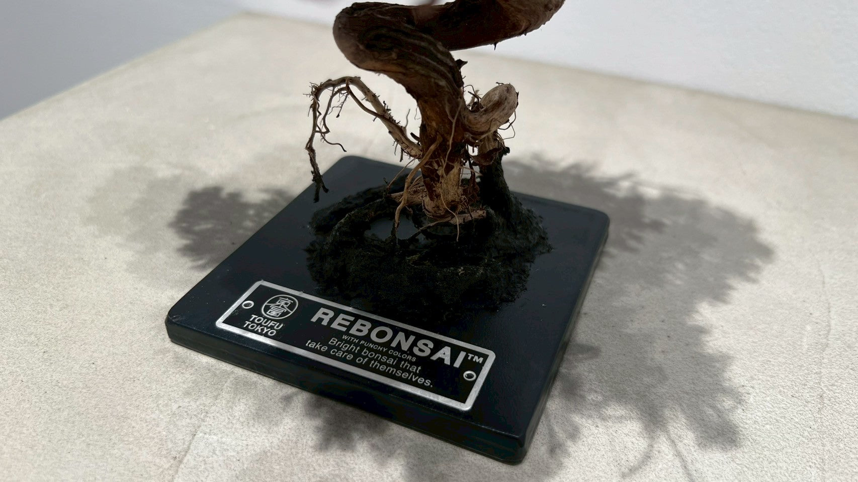 RE BONSAI™️(紅樺色)