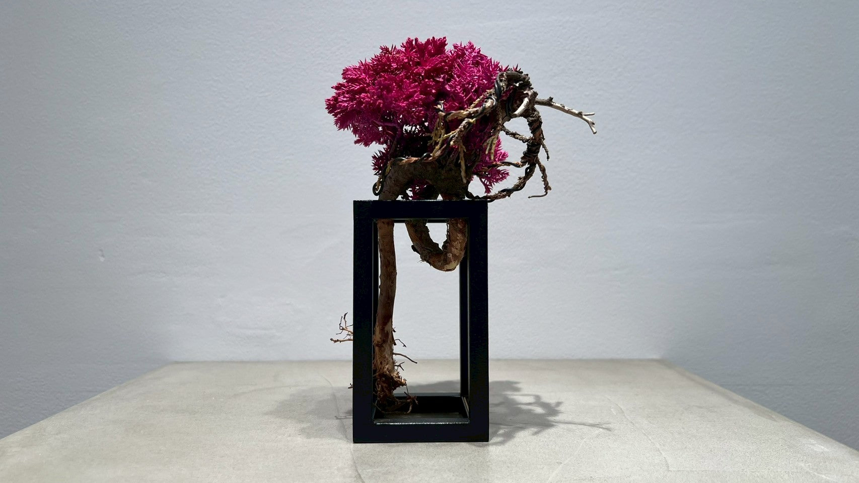 RE BONSAI™️ Frame(撫子色)