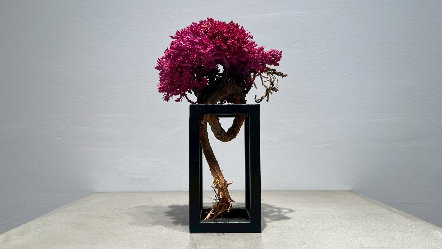 RE BONSAI™️ Frame(撫子色)