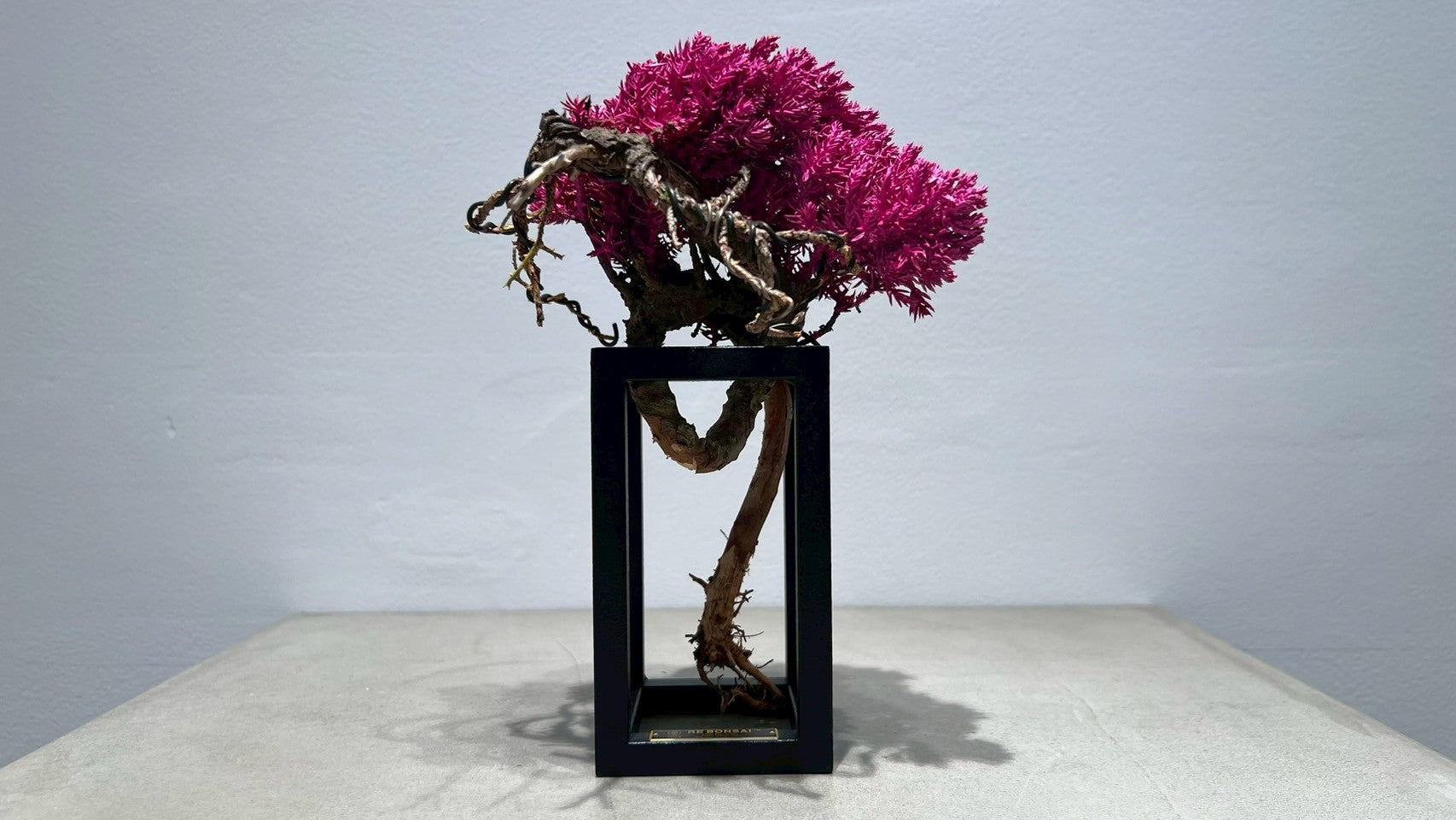 RE BONSAI™️ Frame(撫子色)