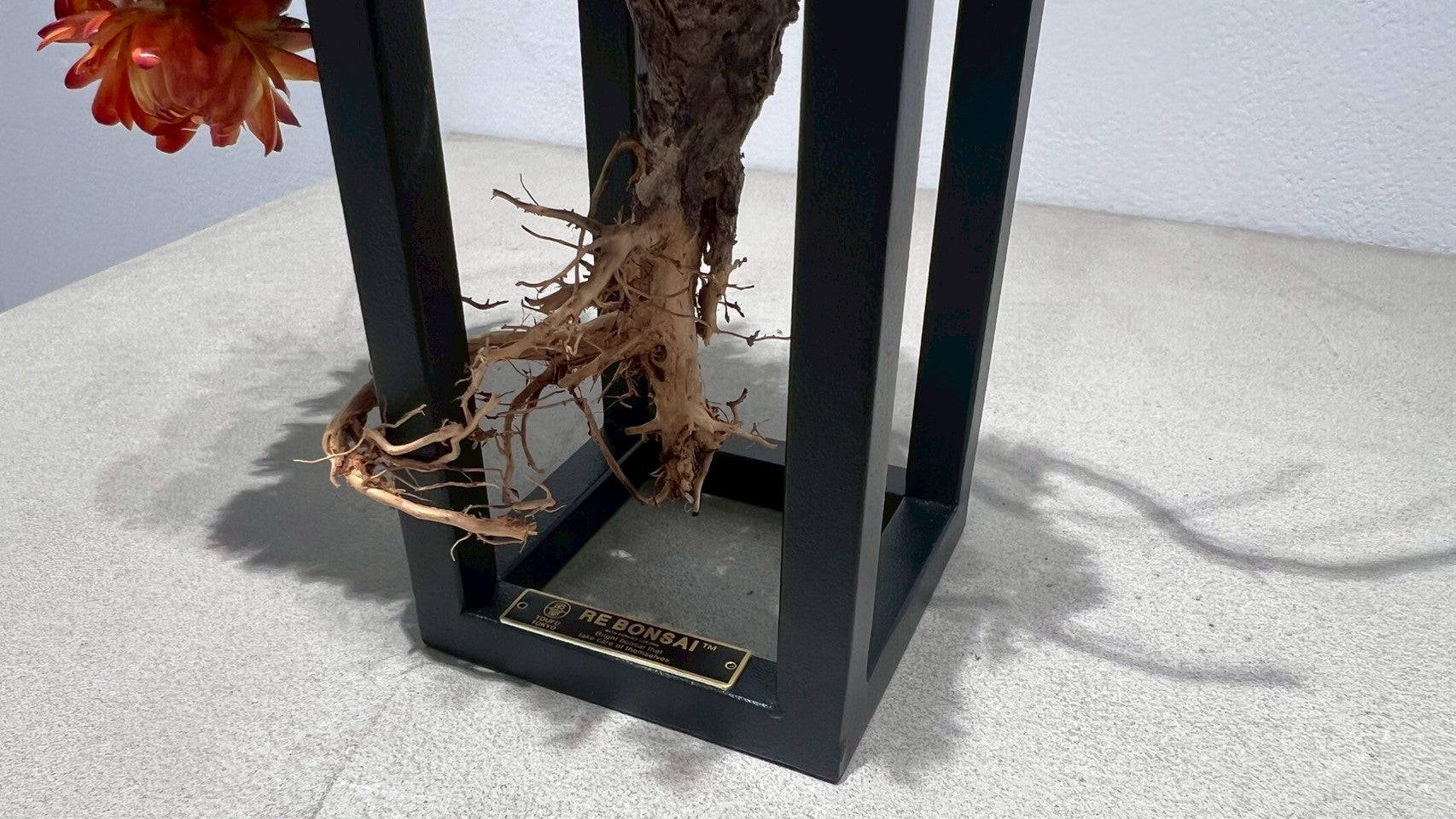 RE BONSAI™️ Frame(橙色X檸檬色)