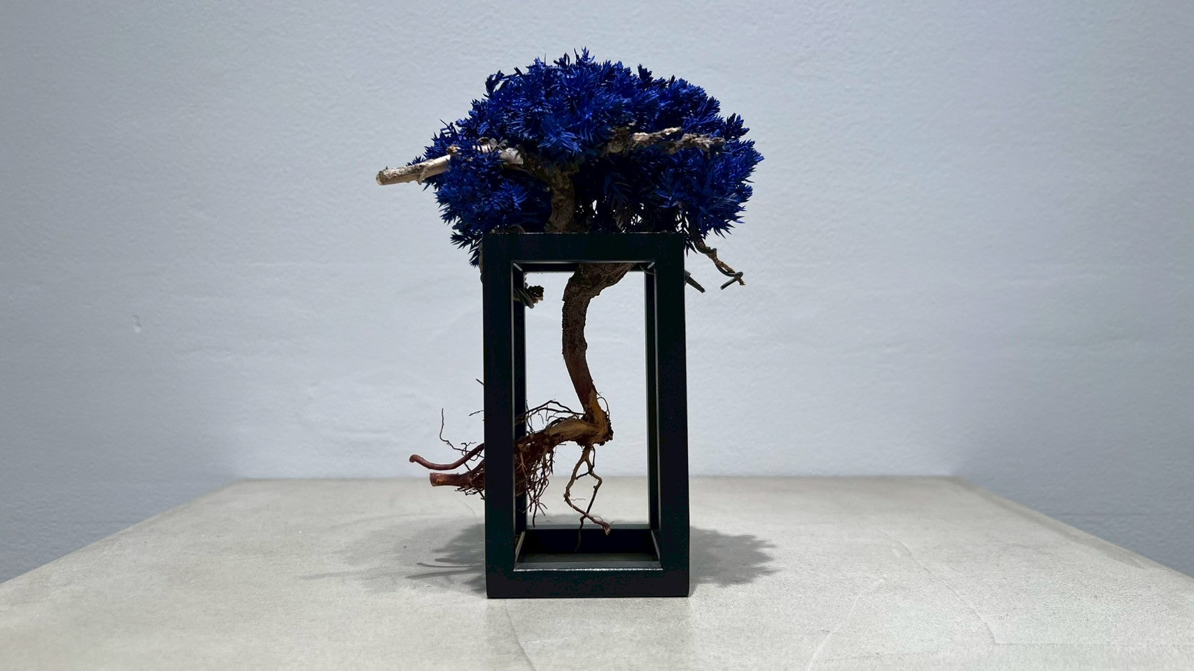 RE BONSAI™️ Frame(紺藍色)
