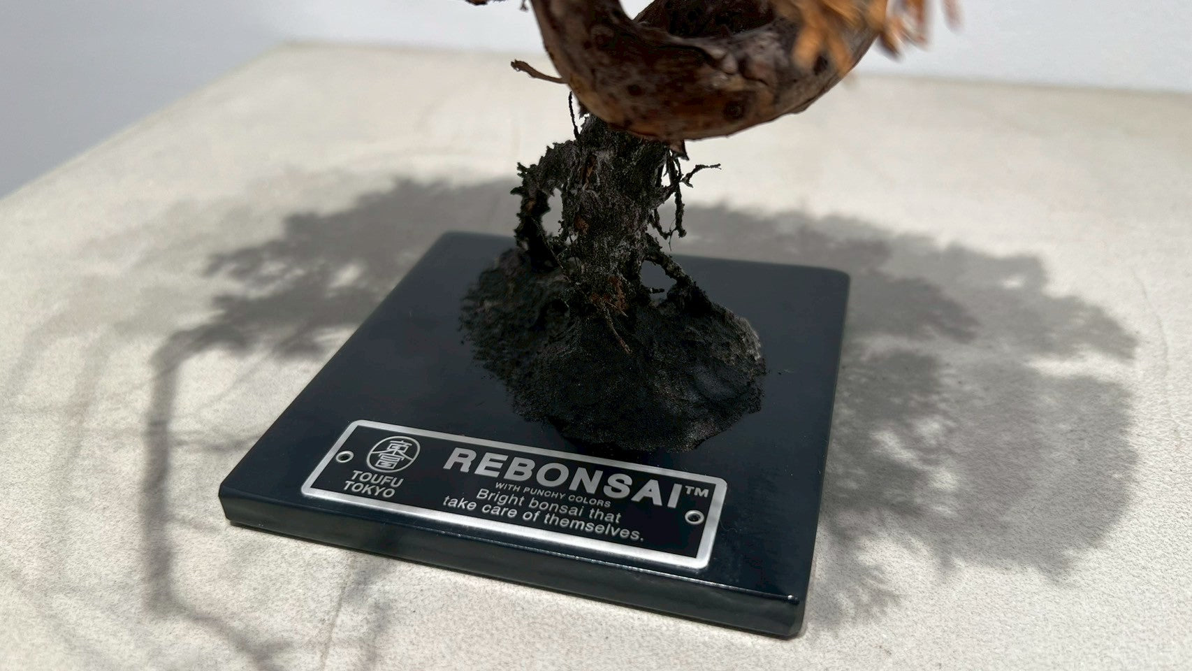 RE BONSAI™️(紺藍色)