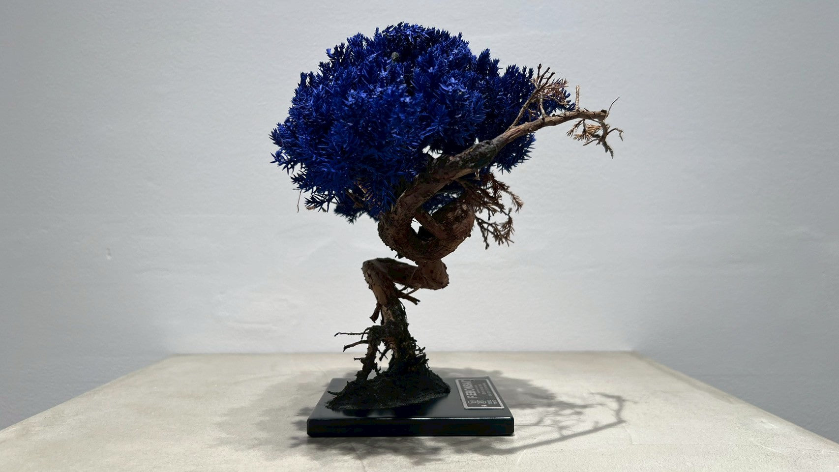 RE BONSAI™️(紺藍色)