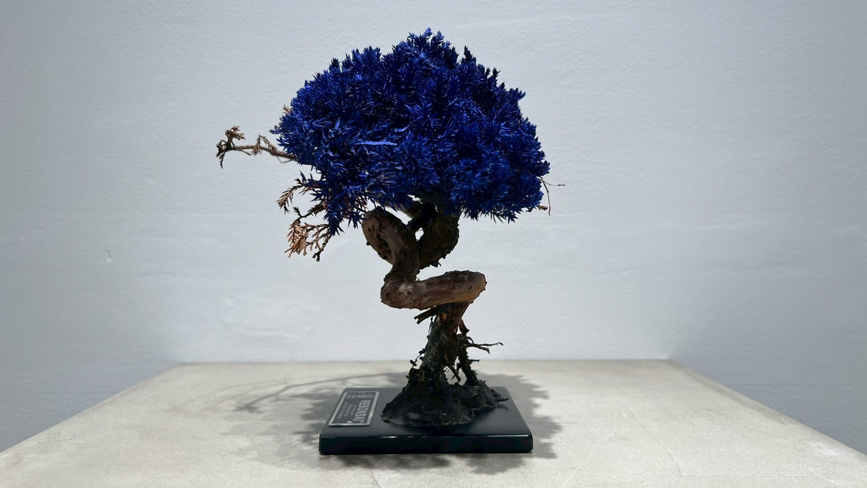 RE BONSAI™️(紺藍色)