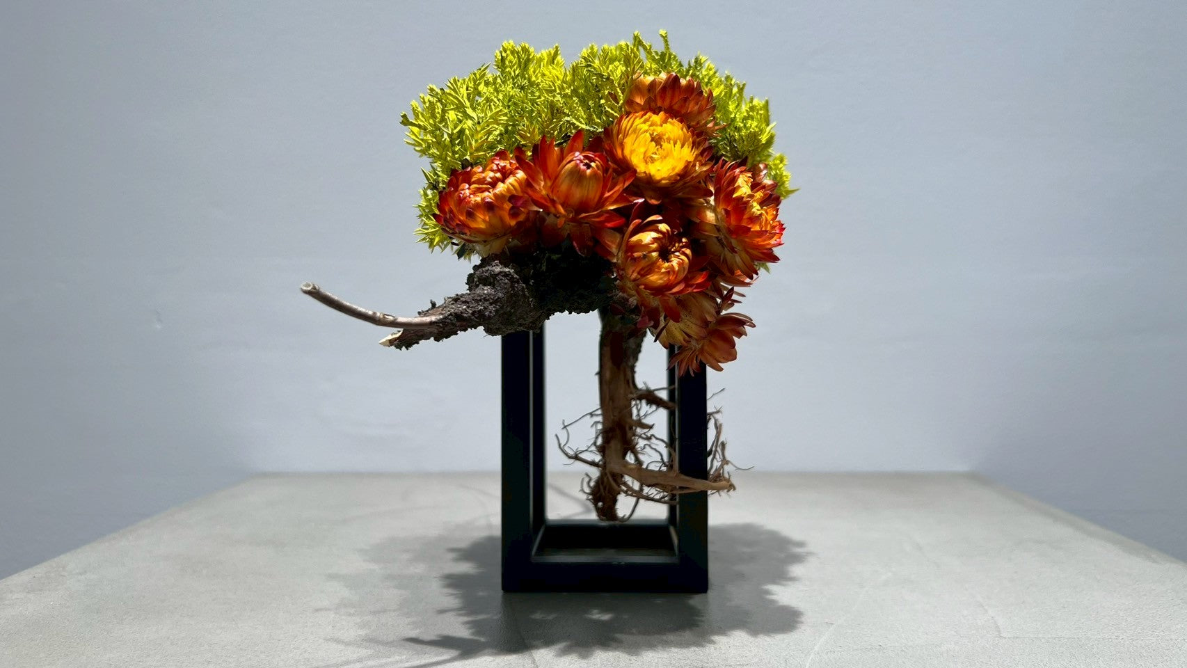 RE BONSAI™️ Frame(橙色X檸檬色)