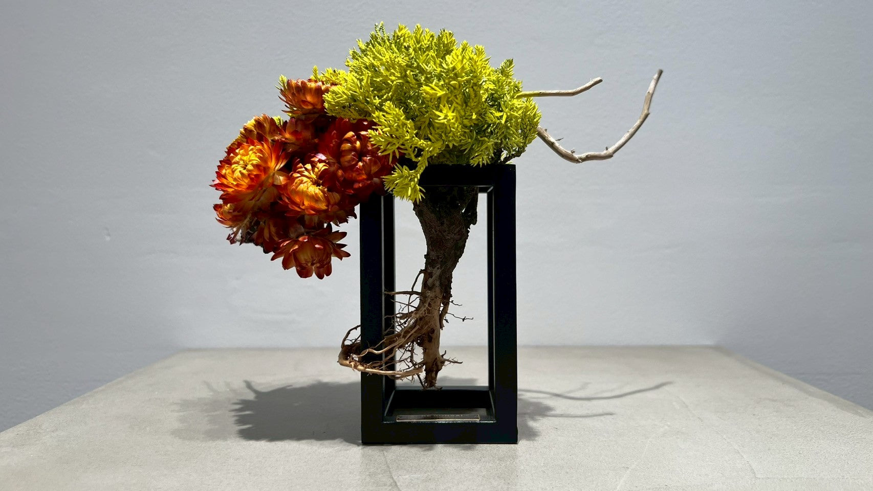 RE BONSAI™️ Frame(橙色X檸檬色)