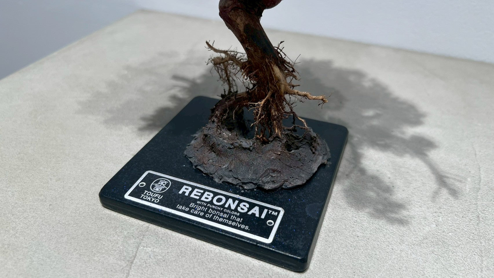 RE BONSAI™️(撫子色)