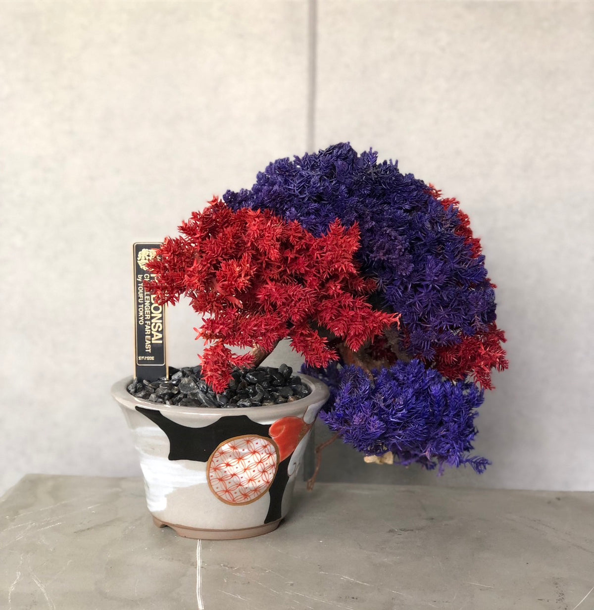RE BONSAI™️ HACHI(紅樺色x桔梗色)