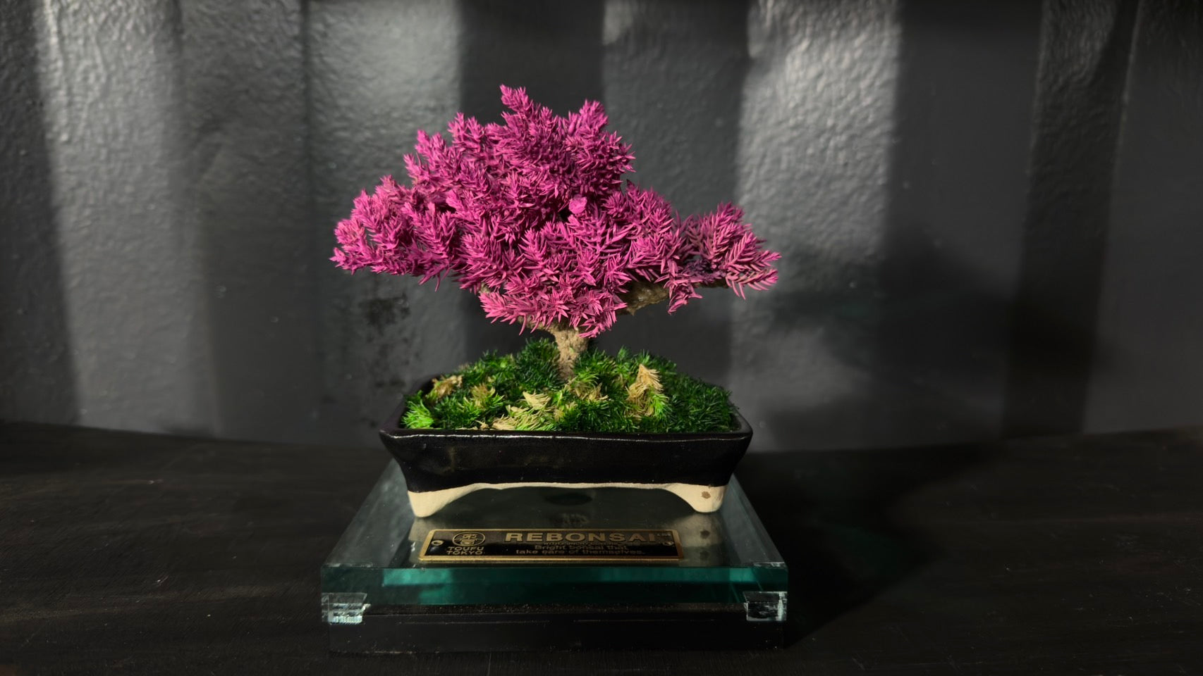 GOOD EDITION原宿にて2025.4.4〜2025.4.13の期間でPOP-UP EVENT