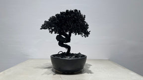 RE BONSAI™️(漆黒色）