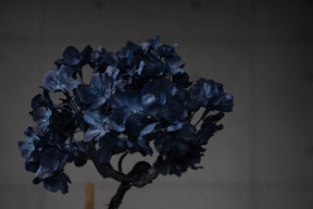 9/15 new RE BONSAI™️ AIZOME SAKURA HACHI