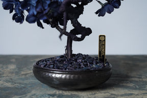 10/2 new RE BONSAI™️ AIZOME SAKURA HACHI