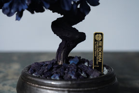 10/2 new RE BONSAI™️ AIZOME SAKURA HACHI