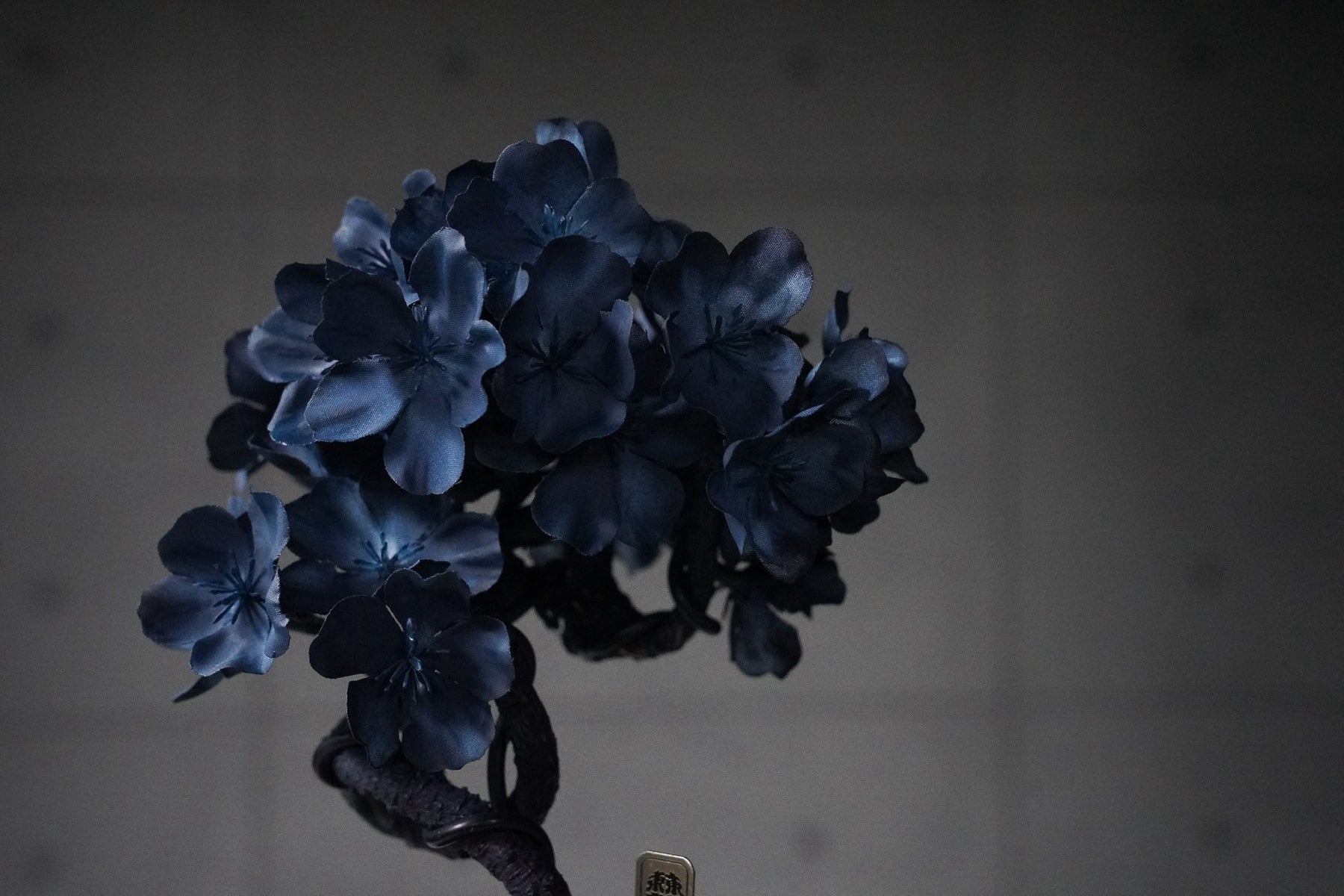 9/15 new RE BONSAI™️ AIZOME SAKURA HACHI