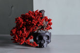 SKULL RE BONSAI™︎（真柏／紅樺色）